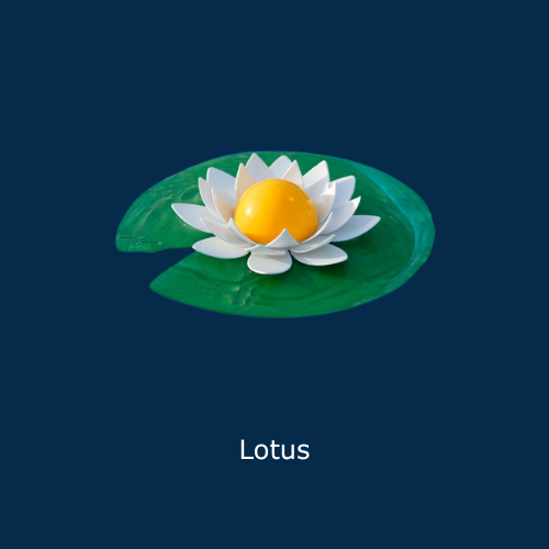 desjoyaux ajaccio piscine corse construction renovation liner membrane armee projet (4)